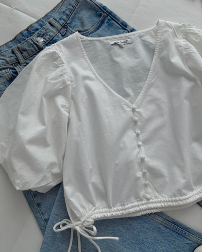 Daisy collection #06